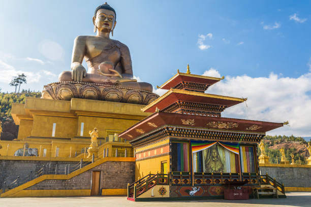 Car for 6 Nights 7 Days Meghalaya and Guwahati Tour